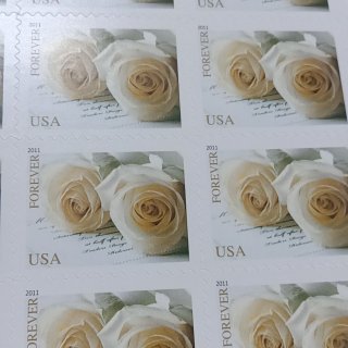 美国白玫瑰邮票...