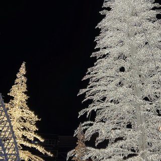 华盛顿DC 梦幻圣诞灯展&滑冰场...