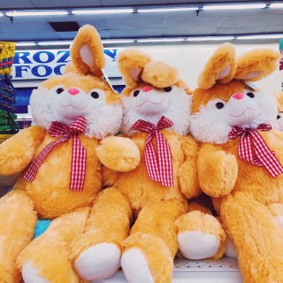 复活节快乐～～bunny小兔来庆祝复活节...