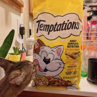 🐈 Temptation 鸡肉味猫粮🐱...