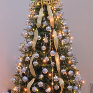 2️⃣0️⃣2️⃣3️⃣ ｜圣诞树🎄布置...
