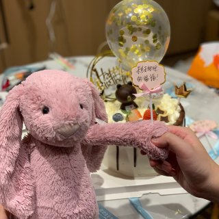 兔兔过生日🎂