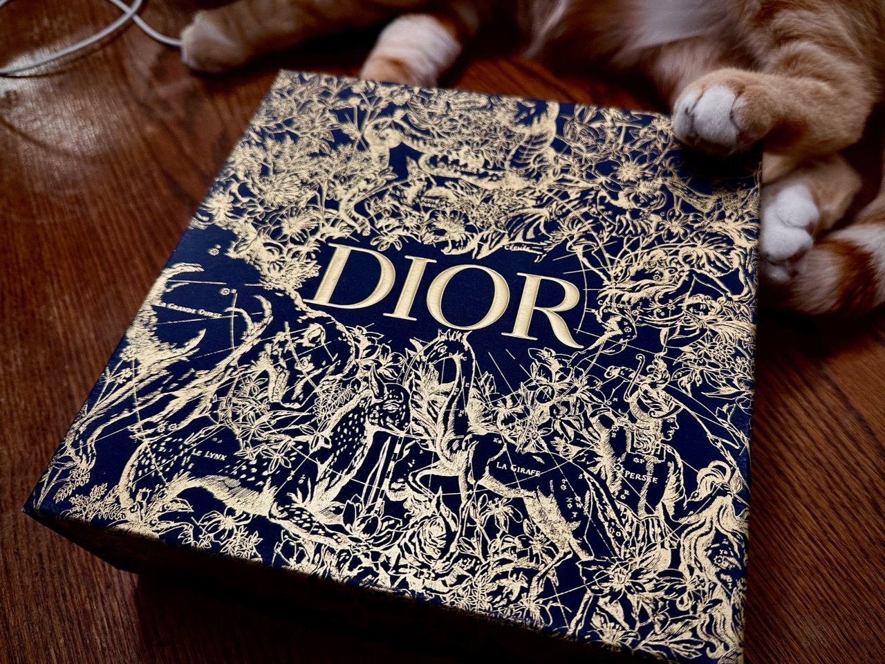 迪奥Dior｜圣诞真我礼盒🎁...