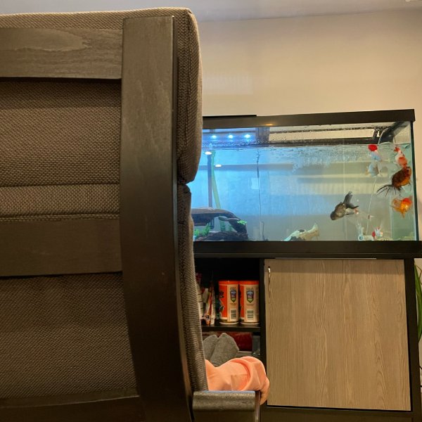 晒货图片