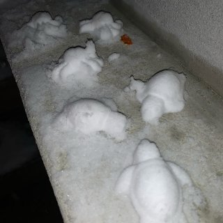 鼠年初雪第一次堆雪人⛄️...