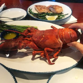 有人跟我一样喜欢Red Lobster吗...