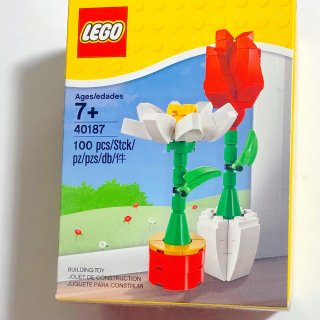 LEGO® Flower Display 40187 | Miscellaneous | Buy online at the Official LEGO® Shop US