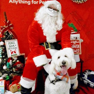 🎅🐶petsmart狗狗与圣诞老人合照...