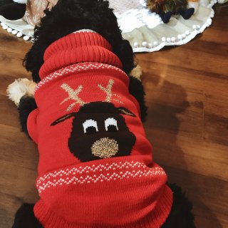 H&M毛孩子的圣诞红毛衣也做得不错。...