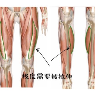 💪告别肌肉腿-多德士筋膜枪测评