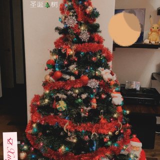 家居一角｜我家的圣诞🎄树 ...
