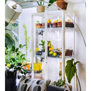 IKEA高颜值玻璃柜秒变热植天堂 🌱绿植...