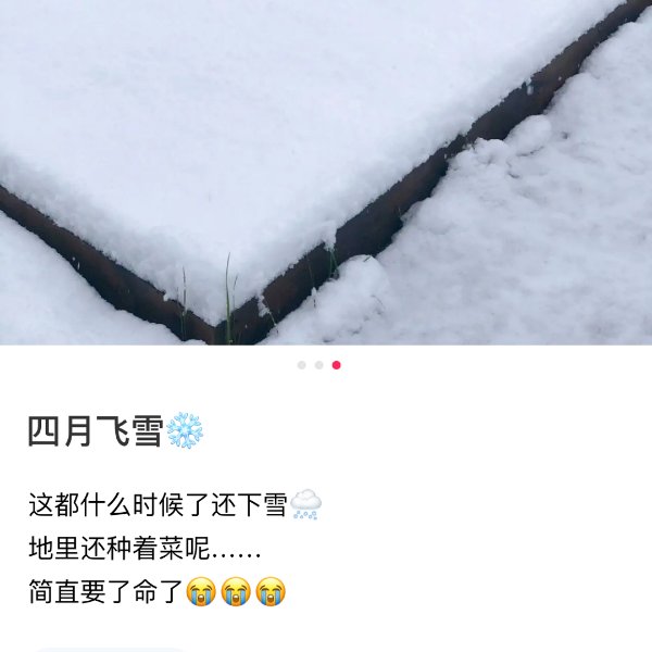 晒货图片