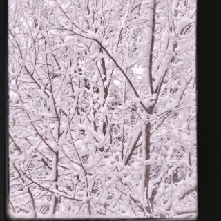 纽约：雪中的晚霞，与看得见风景的房间...