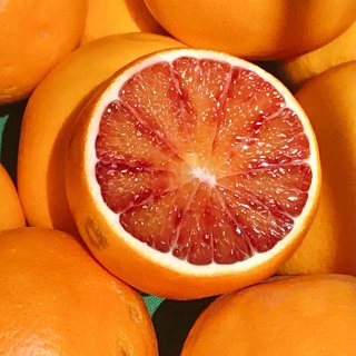 柑橘橙柠柚大赏🍊懒兔月记3月的农夫市场...