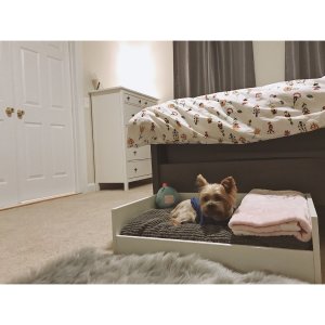 忍不住要再推荐Ikea的宠物床！！