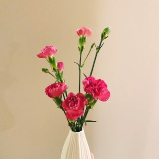 好看的花配好看的花瓶...