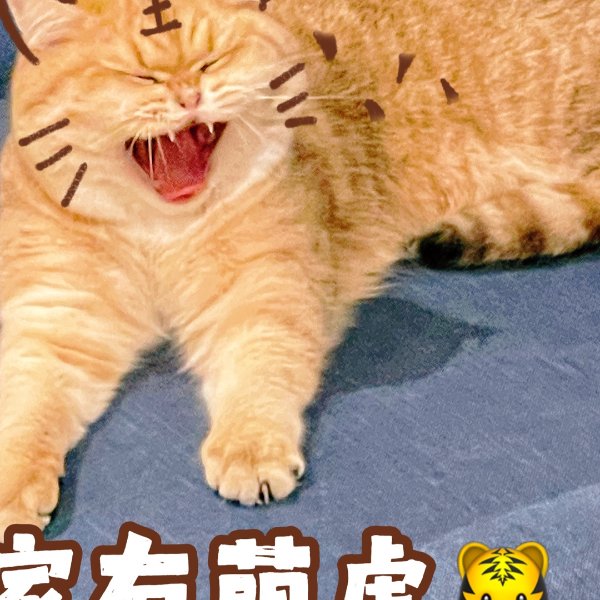 晒货图片