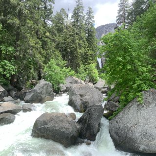 Yosemite周末游