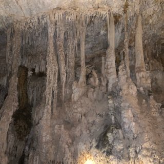 新墨西哥州Carlsbad Cavern...