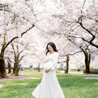 孕妇照｜一起记录西雅图的樱花季...