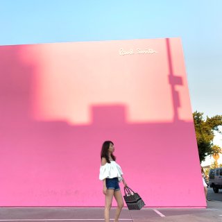 Paul smith wall,Melrose Ave