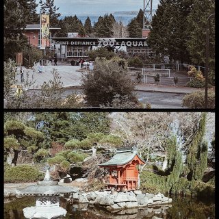西雅图▪️一站式公园=动物园+玫瑰园+海...