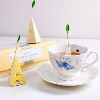 Tea Forte微众测预告篇...