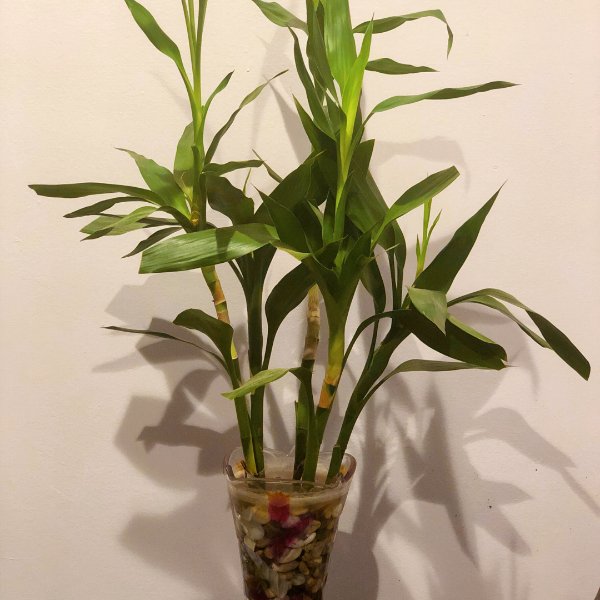 晒货图片