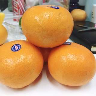 澳洲甜橙