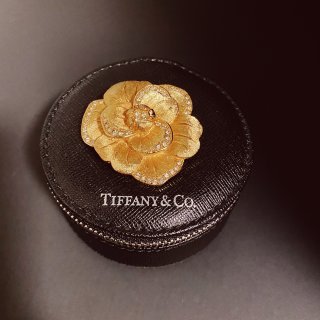 Dior 迪奥,Tiffany & Co. 蒂芙尼
