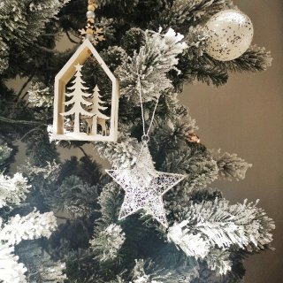 2021 | 🎄我的第一颗圣诞树...