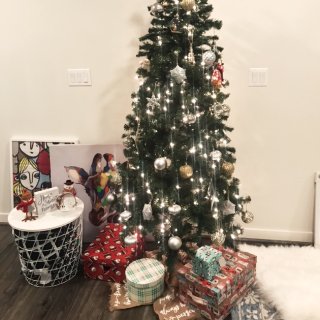 人生中第一棵圣诞树...