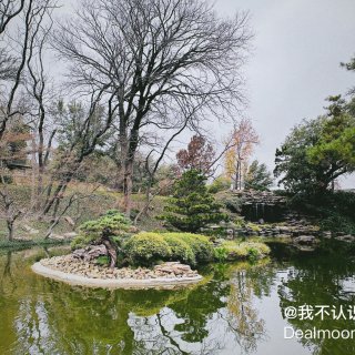 年末冬日雨后的日本花园🎄比夏天多几分宁静...