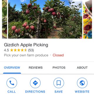 【湾区】U Picking苹果园🍎...