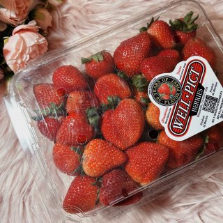 Tom thumb｜蓝莓🫐草莓🍓买一送一...