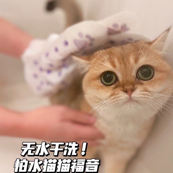 晒货图片