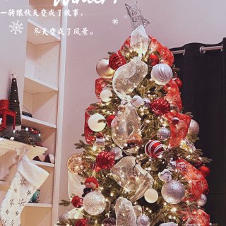 🎄第一年拥有一颗美丽的【圣诞树】...