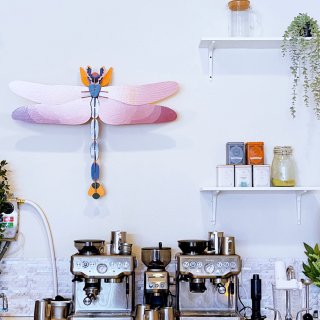 达拉斯宝藏咖啡店☕️充满童趣的蜻蜓和彩虹...