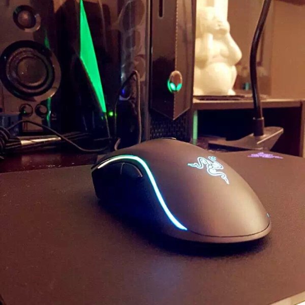 晒货图片