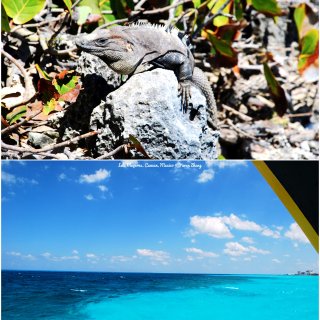 墨西哥 | 蓝色海滨的玛雅文明（坎昆Tu...