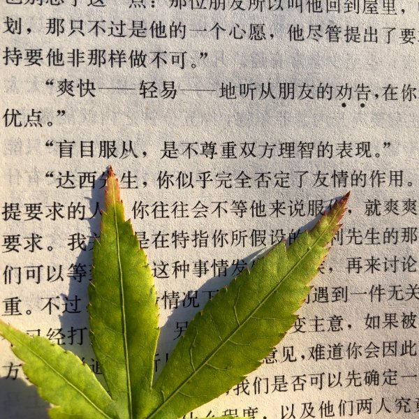 晒货图片