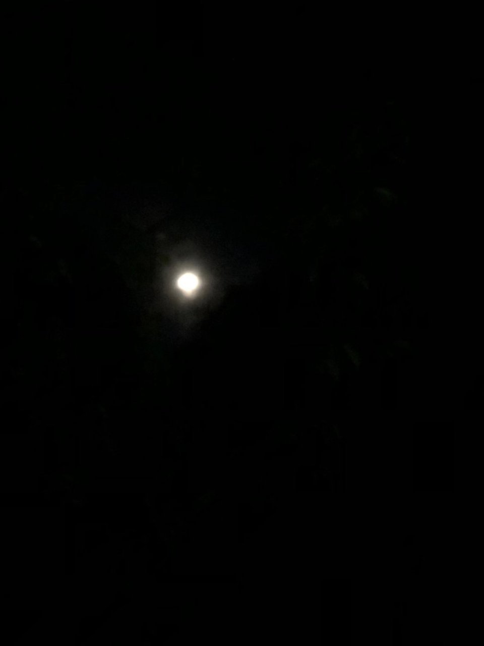 黑暗中的月亮光芒...