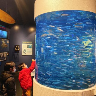 Aquarium of the Bay
