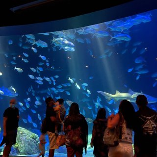 New York Aquarium