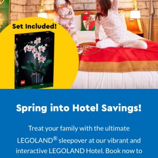 纽约Legoland定hotel送花花l...