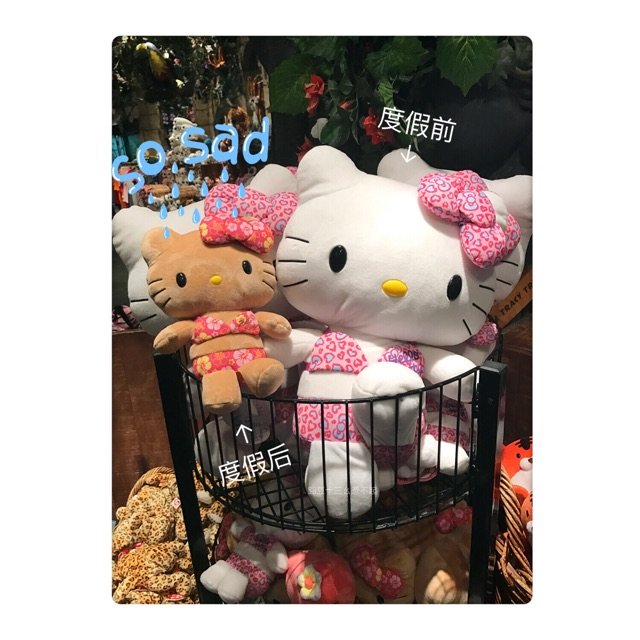 昨天逛街时 看到这两个hello ...