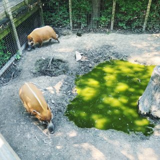走！—动物园走起室内馆...