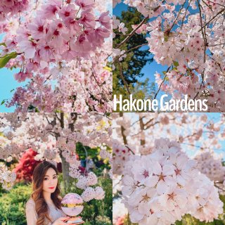 Hakone Estate & Gardens