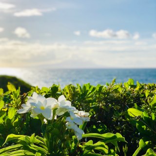Maui岛有全世界最美最美的夕阳...